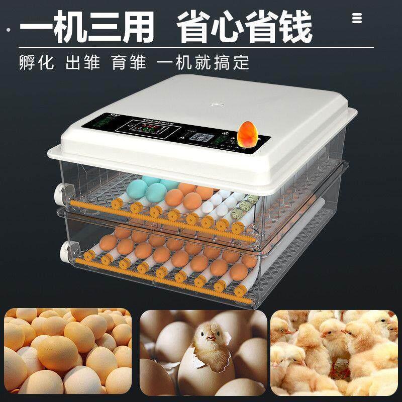 全自动智能孵化机孵鹅鸽子芦丁的孵蛋器孵鸡鸭山鸡的孵化箱