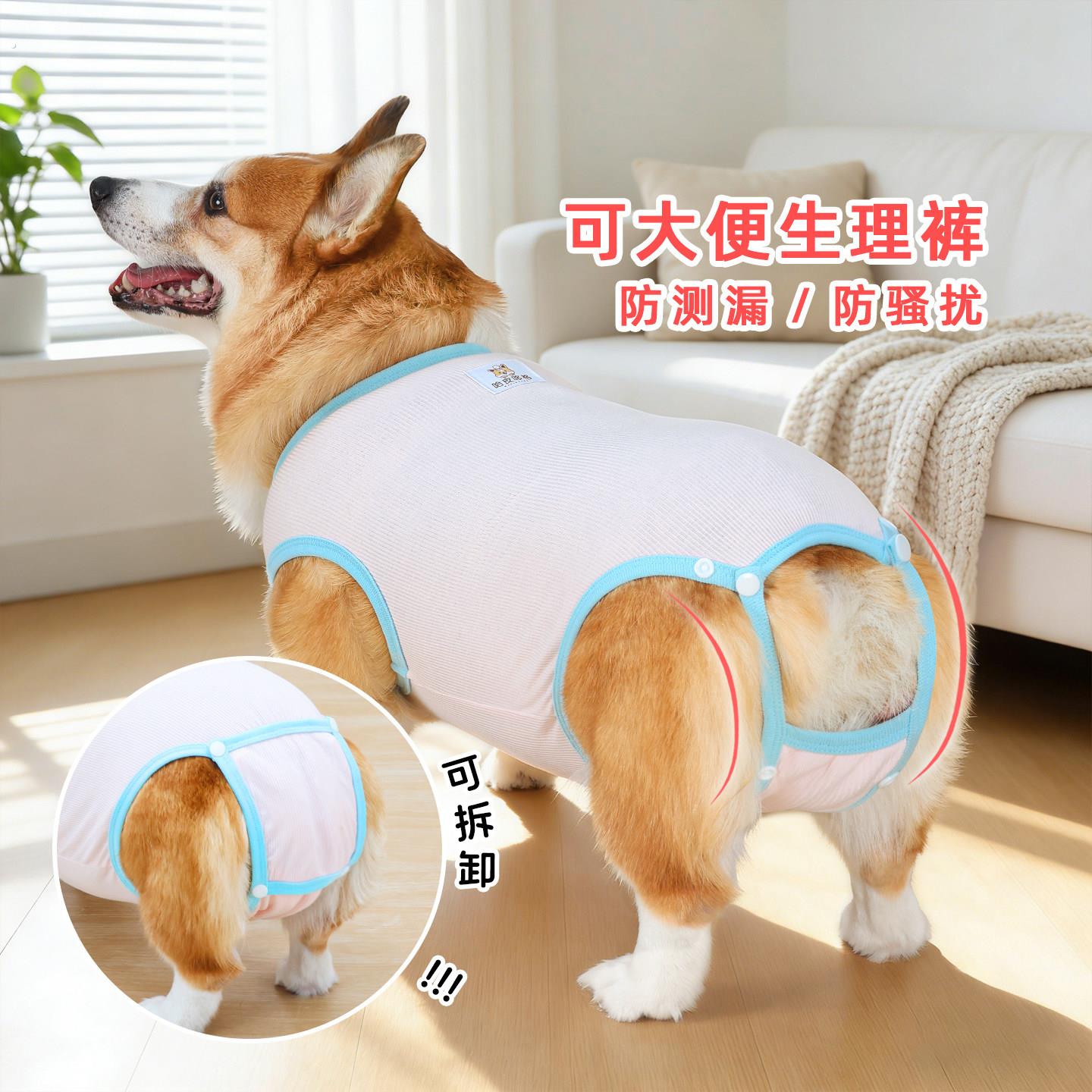 狗狗生理裤母狗经期姨妈裤柯基柴犬中型犬月经防骚扰可拆卸安全裤