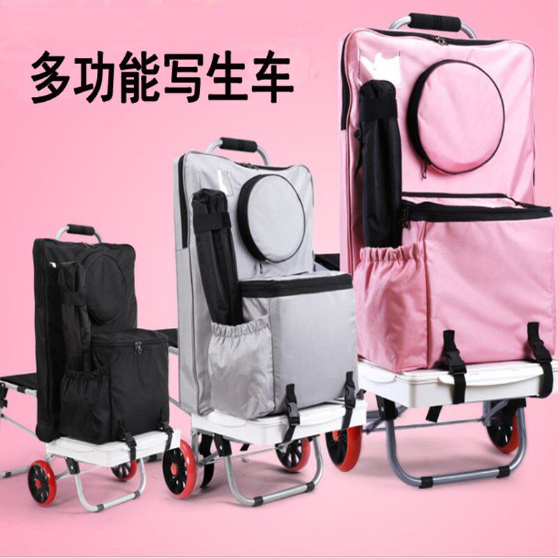 华逸画材多功能外出美术画画写生拉杆爬楼梯艺考工具箱画袋小推车