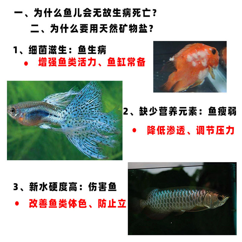 海盐鱼缸专用养鱼水族专用盐鱼缸盐杀菌盐金鱼观赏鱼水族鱼黄粉图片