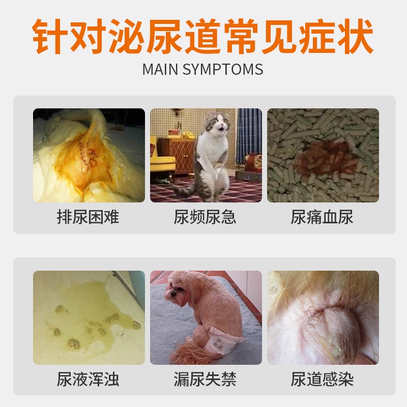 普安特狗狗泌尿路感染膀胱宠物利尿通猫咪尿频结石尿闭尿血泌保片
