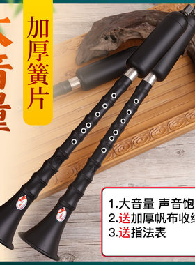 巴乌乐器竖吹小学生入门大音量喇叭g/f调专业演奏巴乌送教程收纳