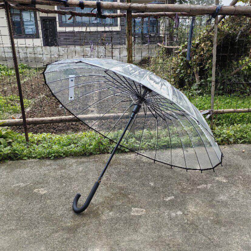 24骨超大双人弯钩自动透明伞加大结实抗风雨伞长柄伞男女两用新款