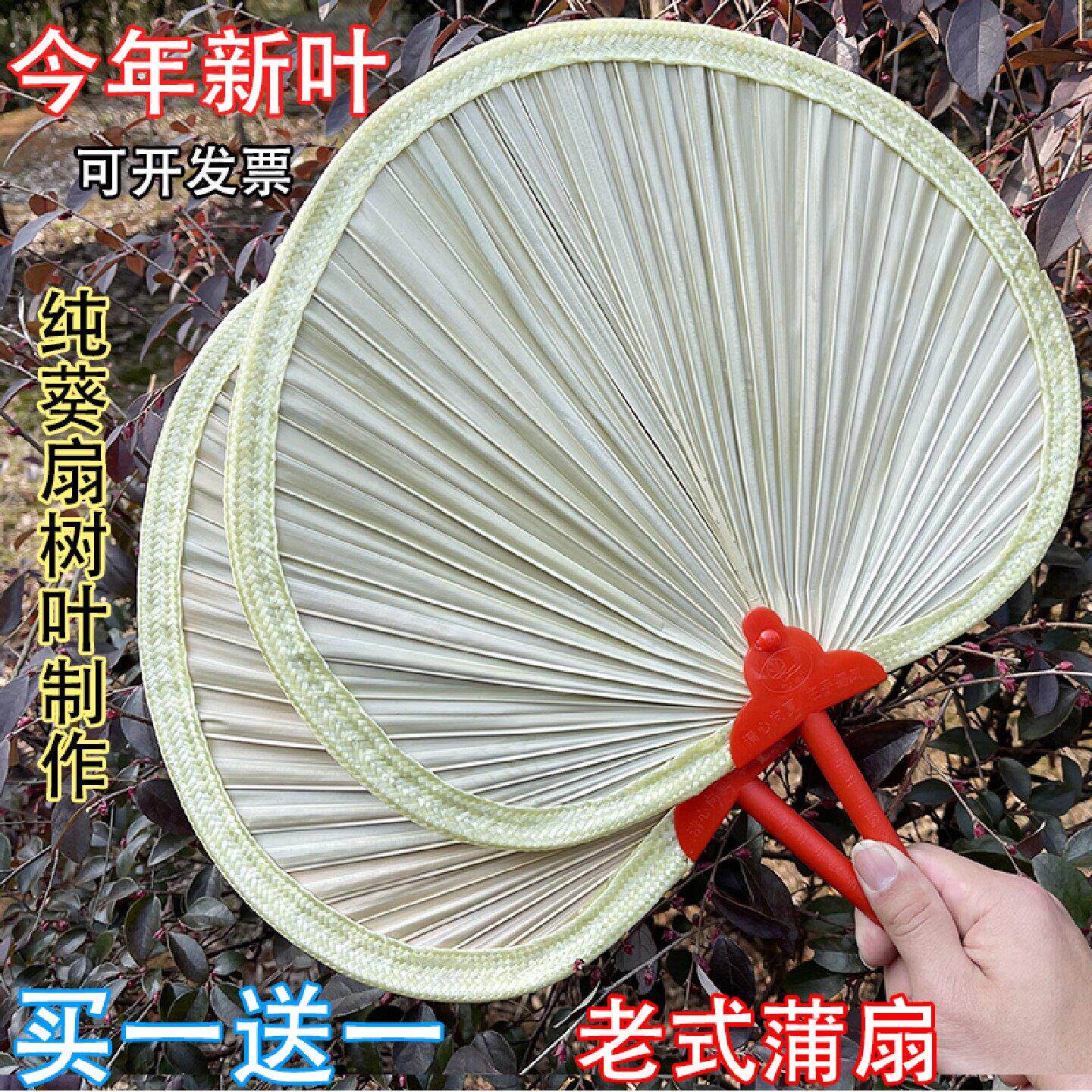夏季老式蒲扇纯手工木柄扇子老人葵扇芭蕉扇烧烤凉扇大蒲扇舞蹈扇