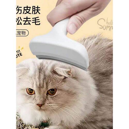 猫狗梳子宠物专用祛毛开结神器不伤皮肤轻松去毛猫狗通用宠物梳子