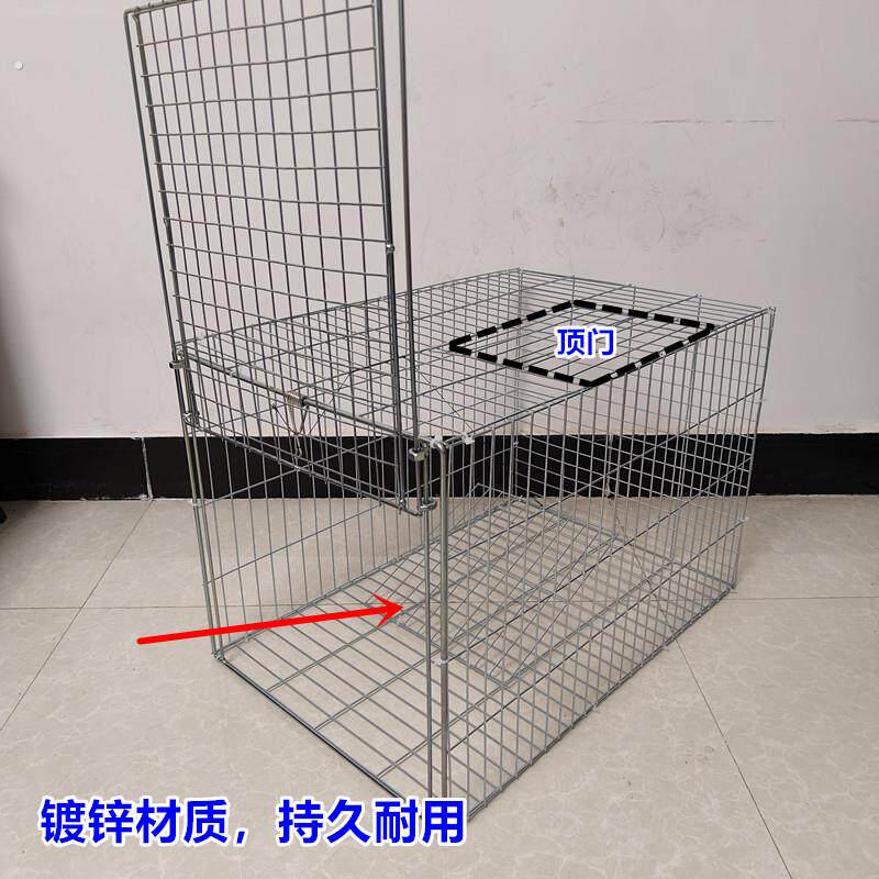 自动落门天落笼鸽子笼可折叠可携式笼户外祇进不出防跑连续收鸽笼