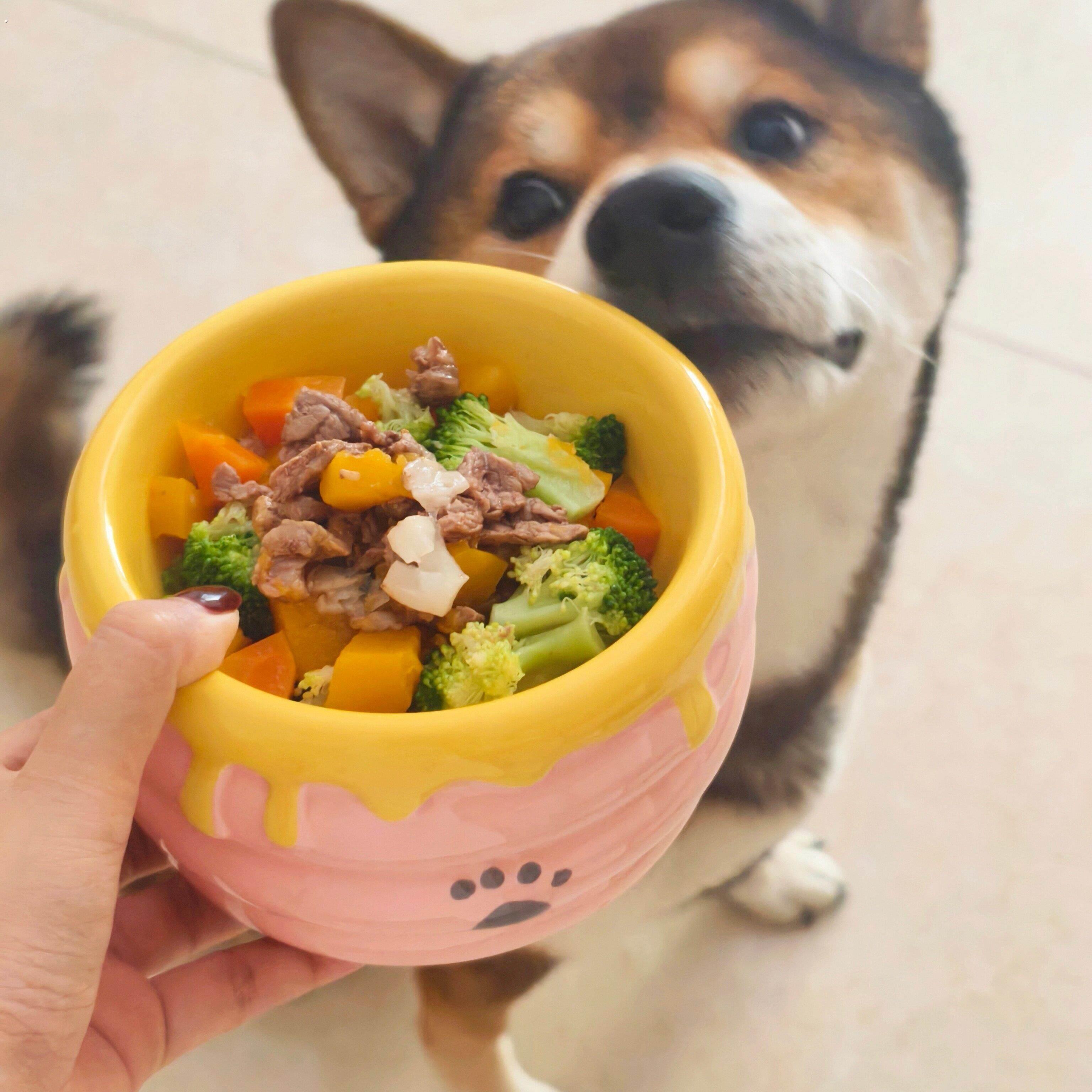 蜂蜜罐猫碗陶瓷狗碗易清洗不易打翻防黑下吧猫粮狗食丰容餐具碗