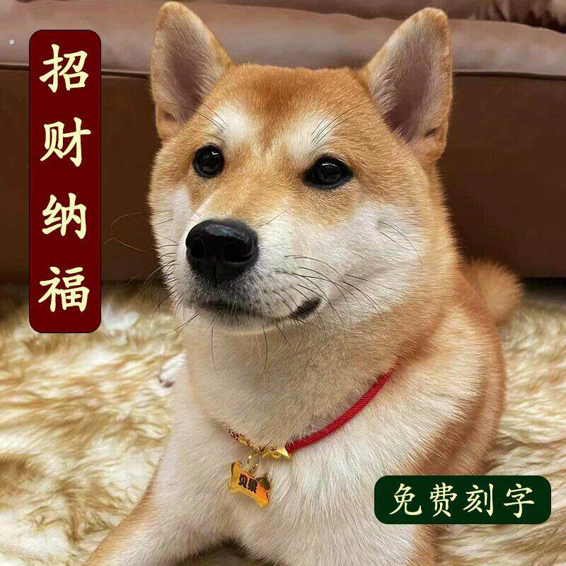 狗项圈刻名字防丢牌定制脖圈红色项链可调节新年喜庆宠物走丢神器