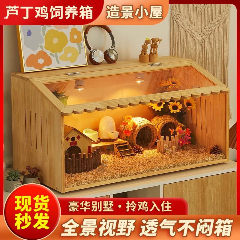 芦丁鸡饲养箱专用笼子小鸡育雏保温箱恒温造景小屋家用卢丁鸡养箱