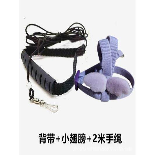 超轻款鸟外出背带飞行绳虎皮牡丹牵引绳玄风鹦鹉放飞绳遛鸟神器