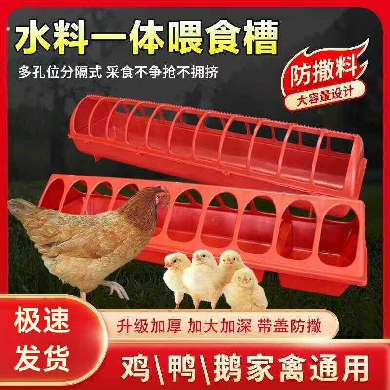 喂小鸡食槽水槽一体育雏长料槽高级喂食喂料喂水多孔补料槽防撒盒