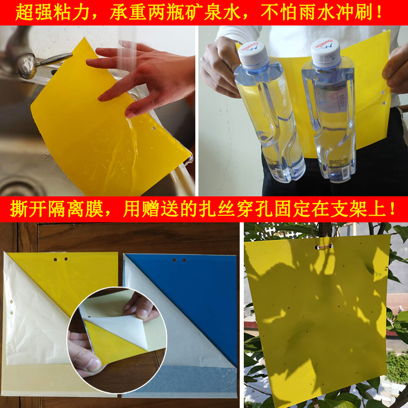 粘虫板黄板双面诱虫板纸贴黄色杀飞虫小黑飞沾果蝇诱捕器粘板大棚