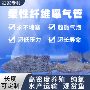 高密度养殖海水培殖运输纳米陶瓷曝气板纯氧液氧鱼缸海鲜池增氧