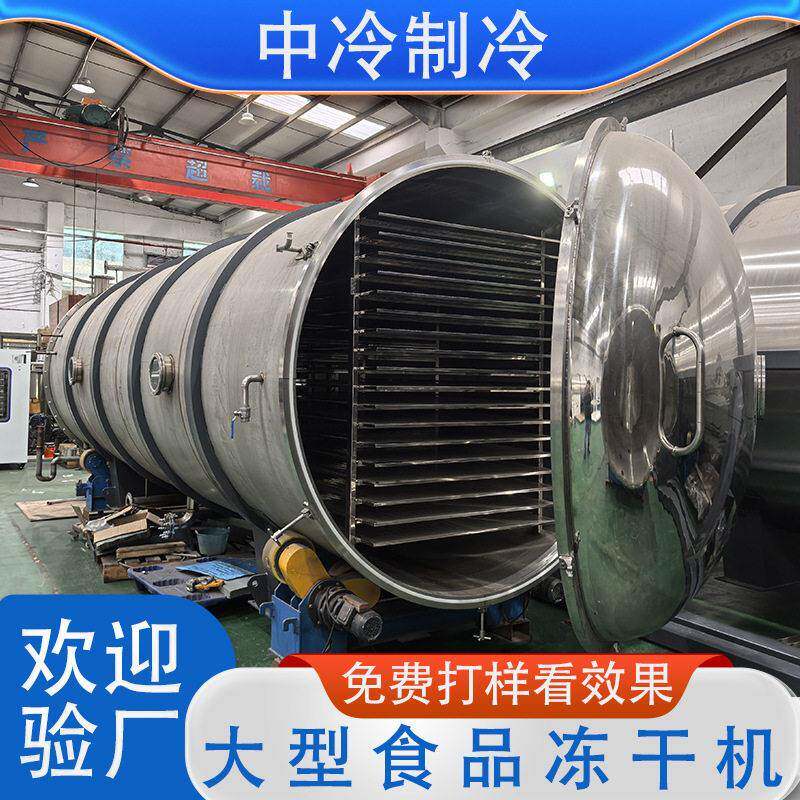 厂家直销果蔬冻干机苹果草莓材大型商用低温锁鲜真空冷冻干燥机