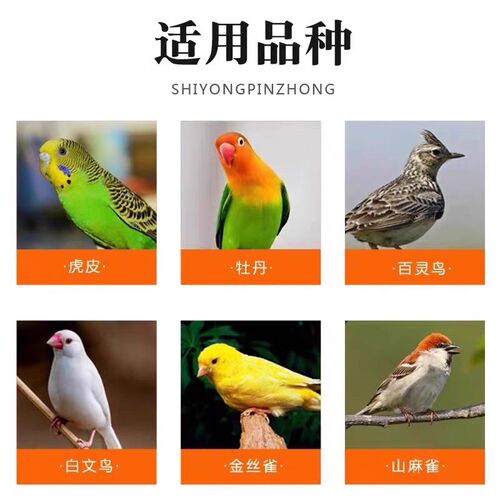 包邮新鲜燕麦鸟食燕麦仁虎皮玄凤牡丹鹦鹉粮食燕麦米鸟粮饲料两斤