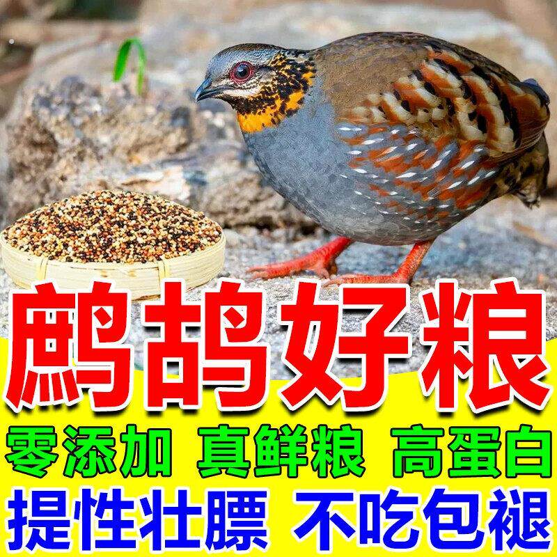 鹧鸪饲料专用鸟粮竹鸡呱呱鸡嘎嘎鸡专用幼鸟提性壮膘混合谷子食
