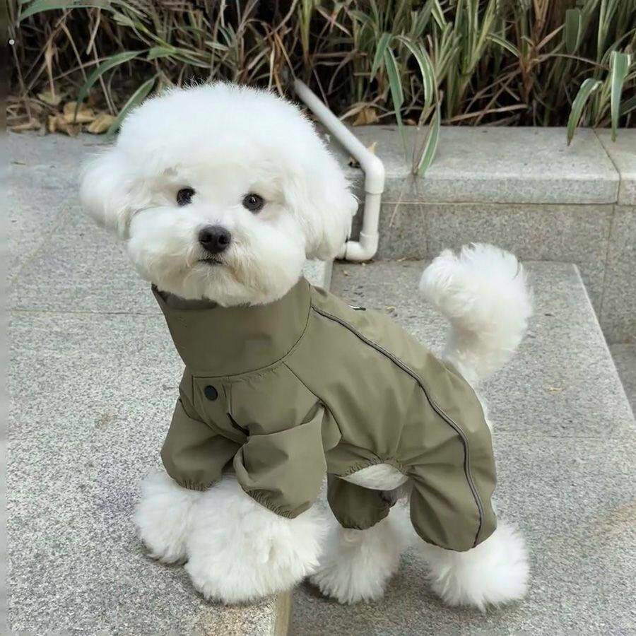 春夏狗狗衣服四脚可爱外出小狗泰迪博美帅气春秋款网红防晒防尘