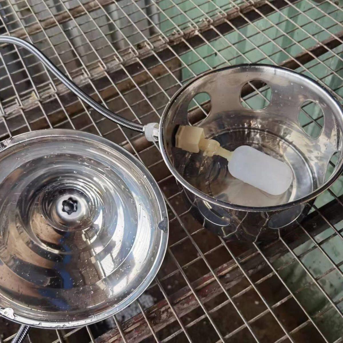 鸽子不锈钢饮水器全自动喂水器不锈钢用品用具水壶喝水神器鸡信鸽