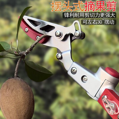 高空摘果器伸缩杆采摘柚子龙眼荔枝黄皮长剪修树枝SK5钢