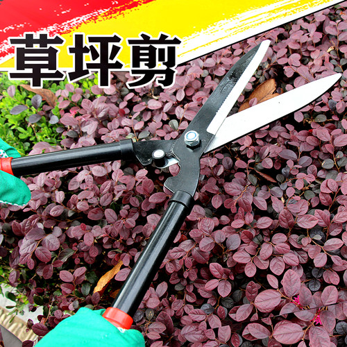 园艺大剪刀花剪修花修枝剪花木剪草修草坪绿篱剪强力修剪树枝工具