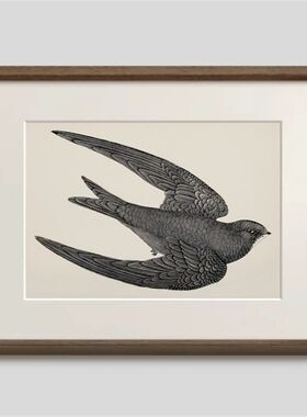 燕归来挂画好寓意装饰画乔迁礼物客餐厅入户玄关沙发背景墙落地画