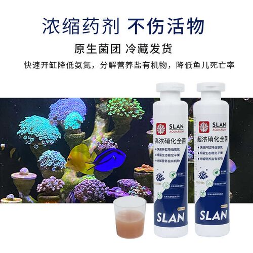 珊蓝硝化细菌高浓超浓海缸硝化菌水质稳定剂鱼缸净水剂净水