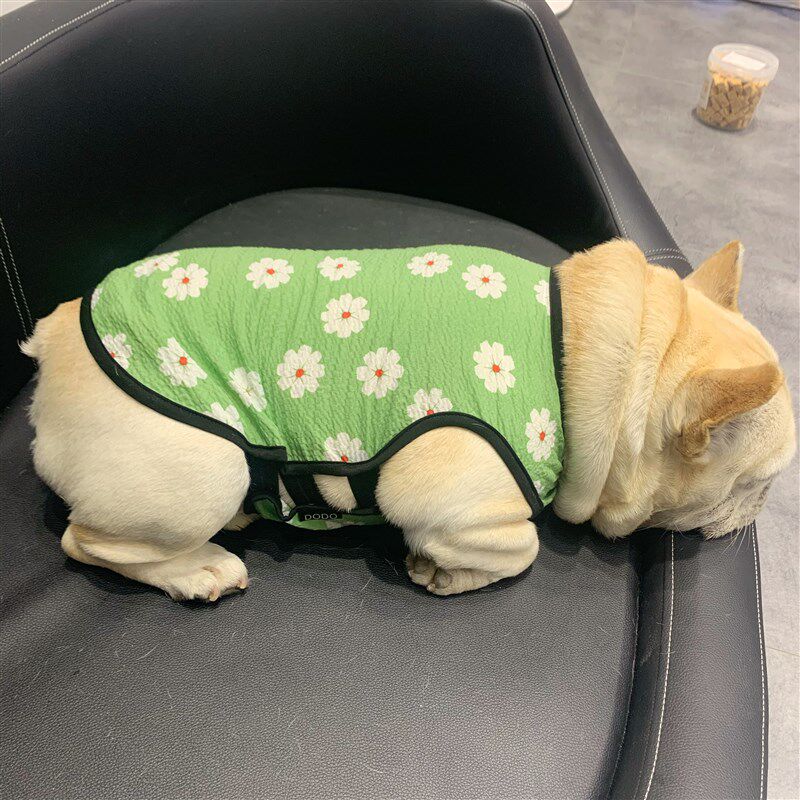宠物狗狗背心法国斗牛犬夏天季薄款衣服中小型泰迪柯基八巴哥网红