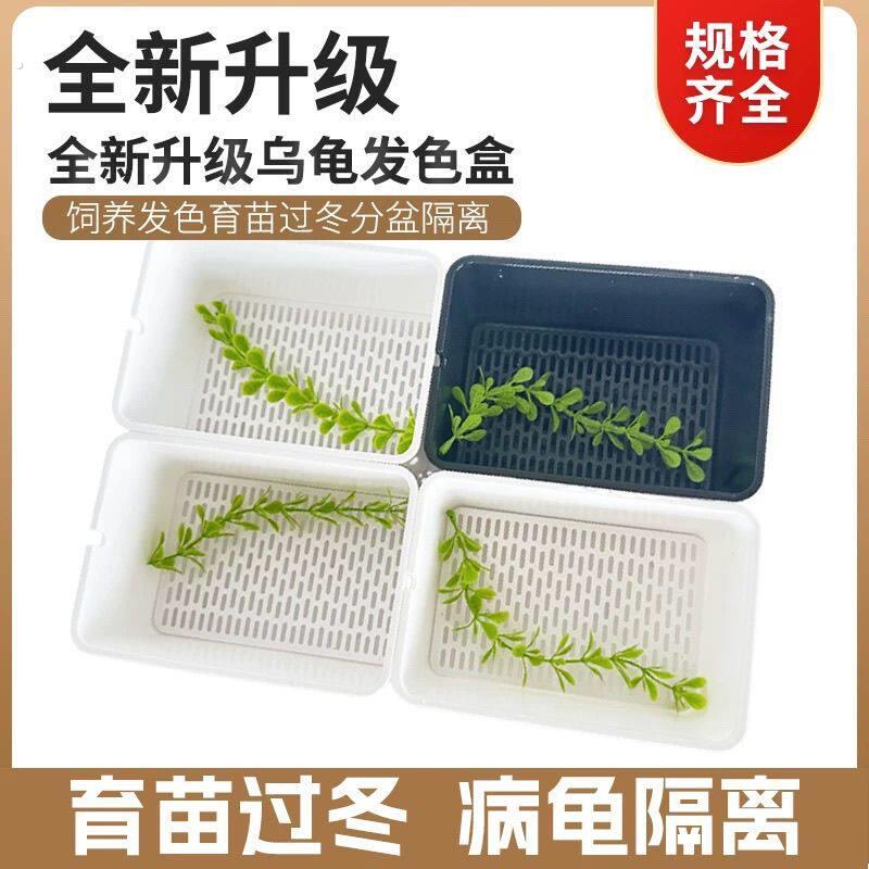 乌龟发色盒蛋龟龟苗育苗箱饲养盒巴西红面龟沉淀板套缸黑白