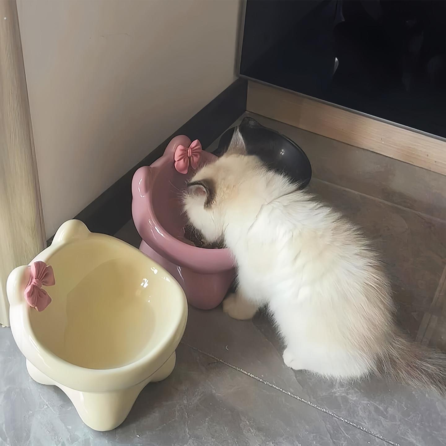 猫碗陶瓷碗可爱猫食盆喝水猫粮罐头保护颈椎不易打翻防黑下巴狗碗