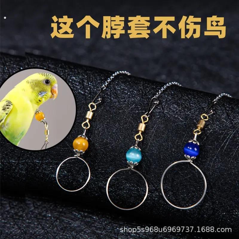 鹦鹉脖套不锈钢八哥脚链玄凤牡丹虎皮栓鸟链遛鸟放飞训练脖圈链子