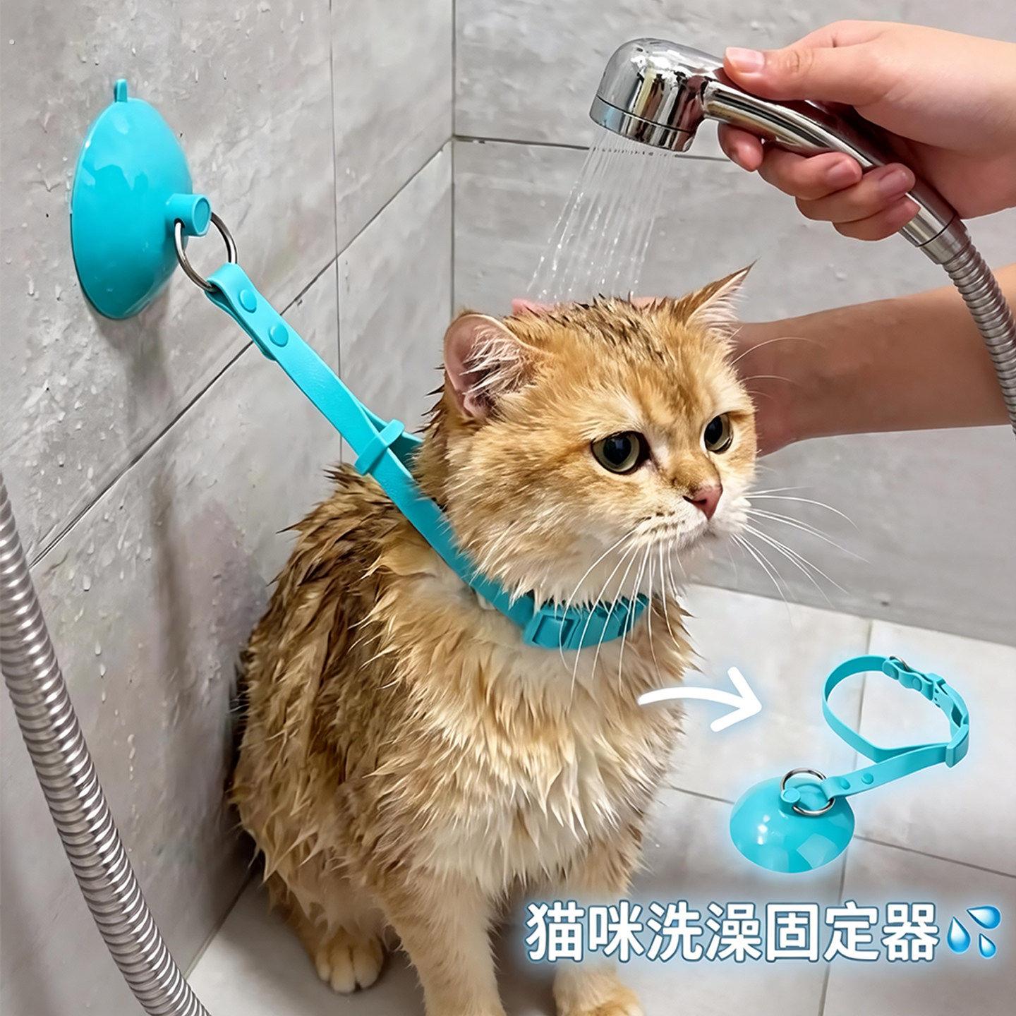 猫咪洗澡固定器宠物剃毛神器拴狗绑狗绳吸盘式狗狗美容吊绳牵引绳