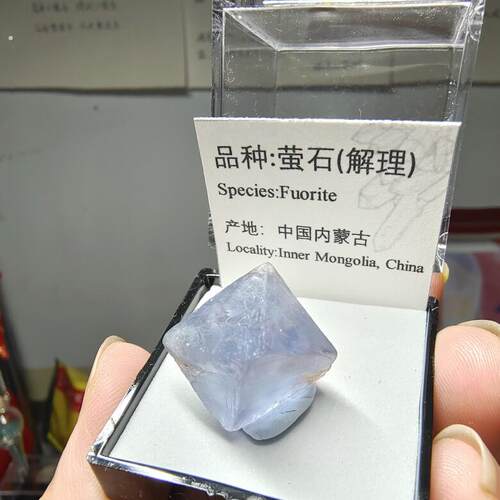 八面体萤石原石天然矿物晶体标本盒猫矿物能量石晶体地质科学教学