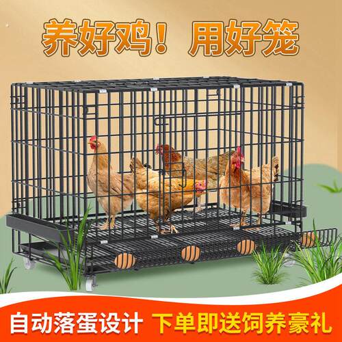 鸡笼子加粗大号家用养殖笼自动滚蛋折叠鸭笼狗笼鹅笼加固厂家直发
