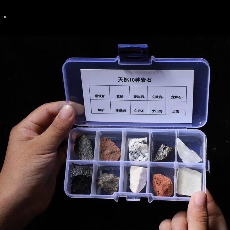 天然岩石标本组合全套矿石化石标本天然原石科普展示专用教学仪
