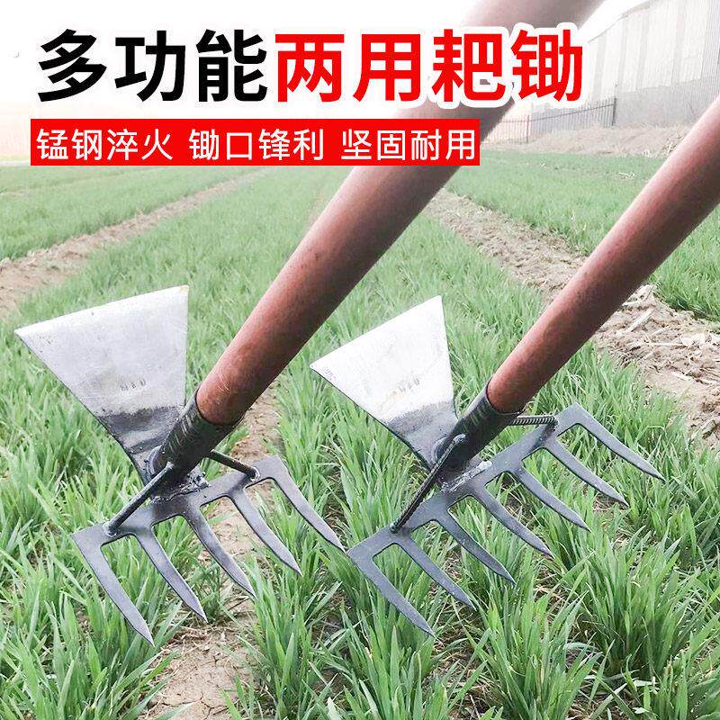 锄头家用除草种菜两用耙锄搂草平地钉耙农用工具锰钢开 荒挖笋神