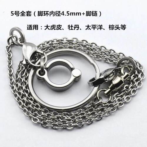 不锈钢大型鸟类链 鹦鹉脚链 开口活动脚环 鸟类站架配链 鹦鹉用