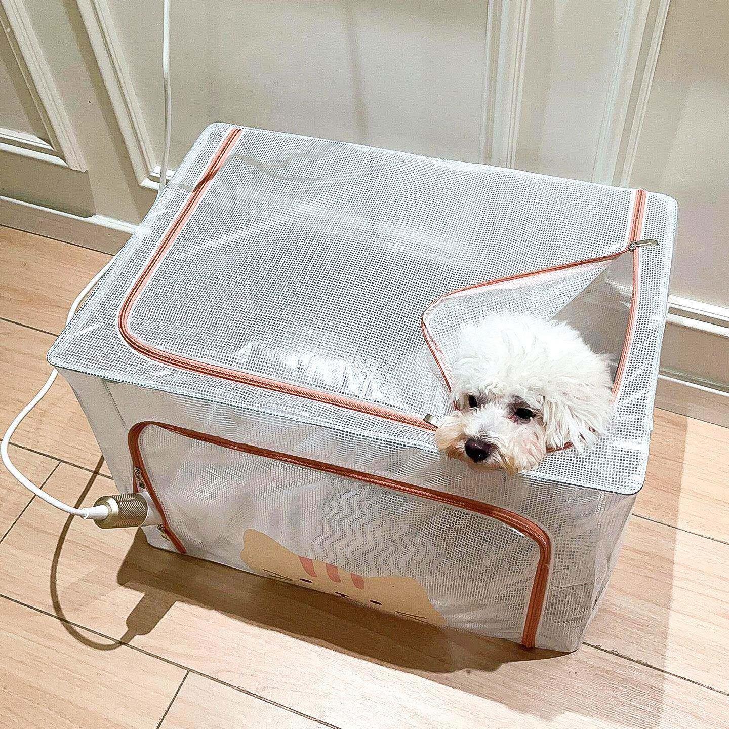 宠物烘干箱猫咪狗狗小型犬洗澡吹毛烘干神器家用吹风机箱猫狗通用