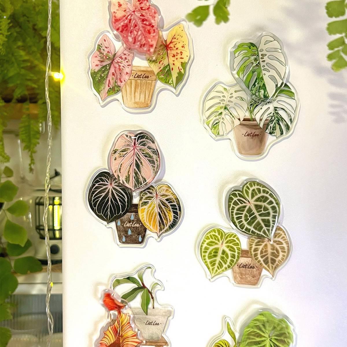 植物叶子冰箱贴磁铁套装文艺清新家居装饰磁铁贴纸热带植绿意透明