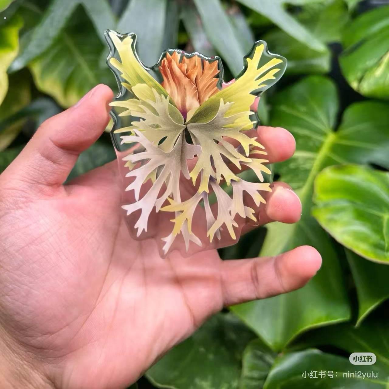 【植物魔法】热带珍稀植物创意绿植冰箱贴绿植装饰植物系列冰箱贴