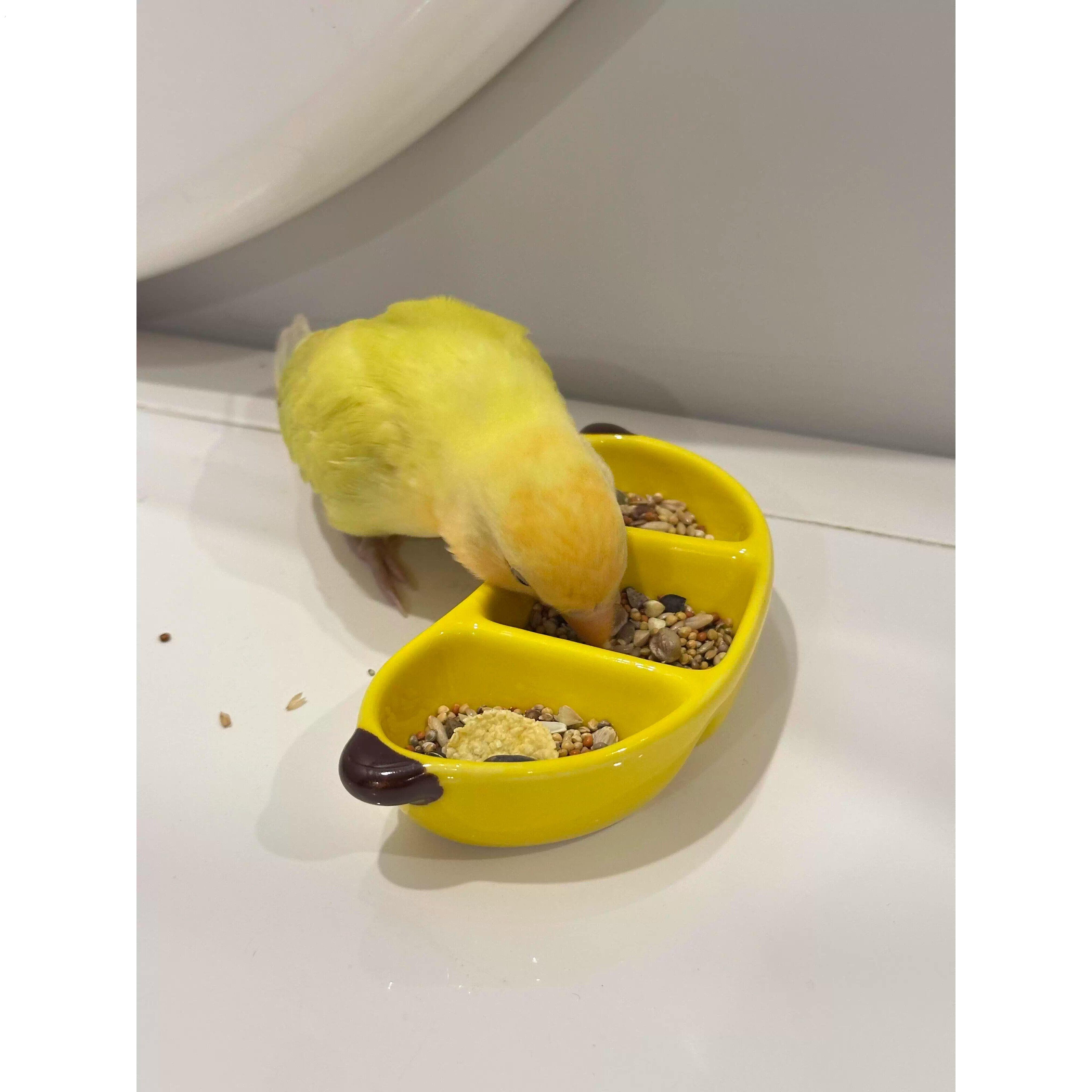 鹦鹉食盒小鸟分格餐盘创意喂食器牡丹虎皮小太阳小宠专用餐碟新款