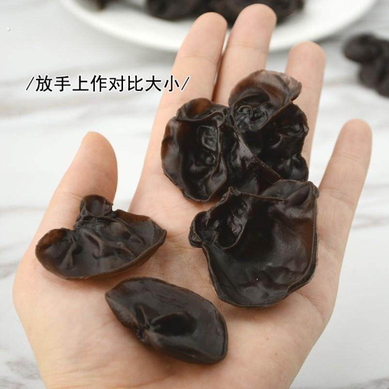 仿真黑木耳假食物塑料模型店铺酒店素菜样板摆设橱窗拍摄道具
