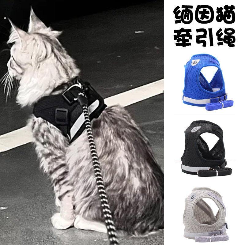 缅因猫专用牵引绳帅气幼猫外出防挣脱溜猫绳子小猫咪背心式胸背带