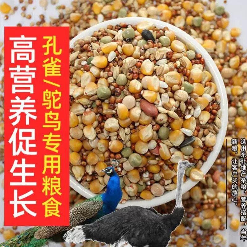 20斤鸽子粮食玉米孔雀专用食饲料鸵鸟幼苗吃的食物大鸡饲料鸭鸟类