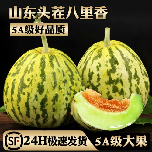 5A级山东花美人甜瓜热卖中！
