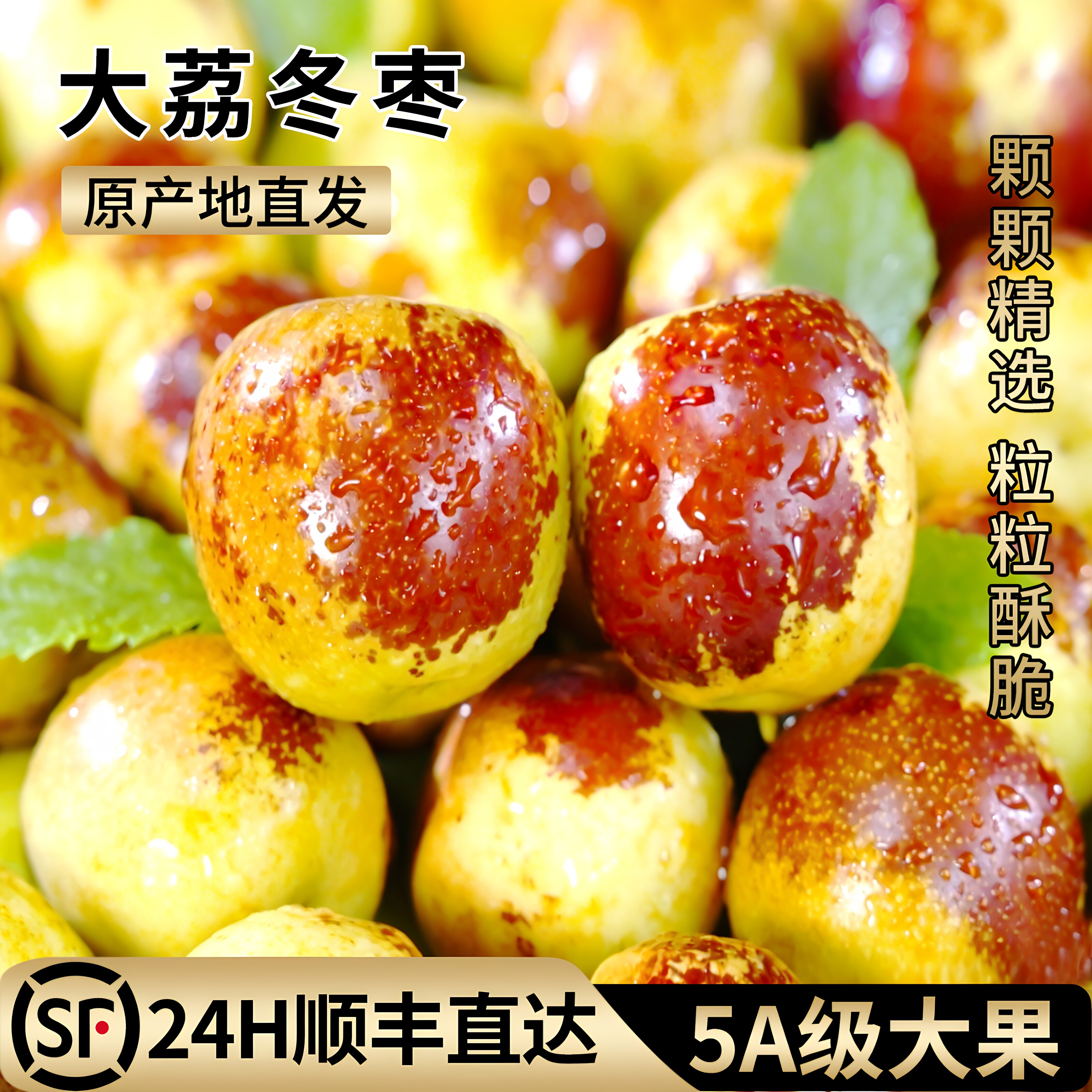 正宗陕西大荔冬枣新鲜大枣5A级大果冬枣新鲜水果应季水果顺丰包邮