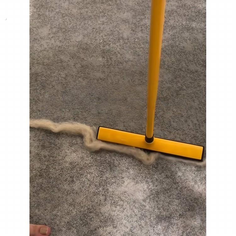 宠物猫毛清理神器地毯除毛刷狗毛吸附扫帚魔术不粘毛扫把头发拖把