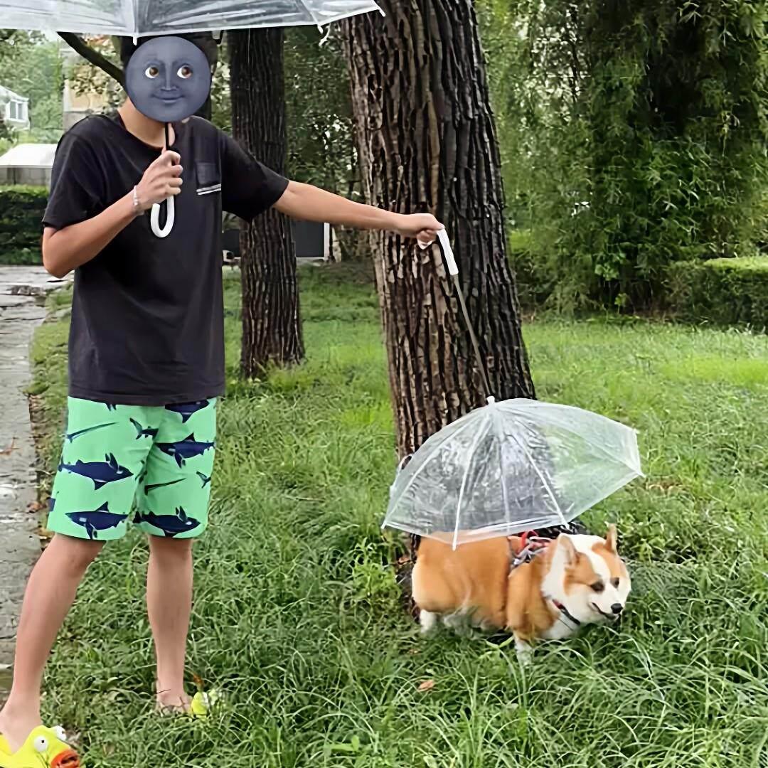 雨天遛狗神器!透明宠物雨伞可调节牵引下雨遛狗伞小型犬外出雨挡