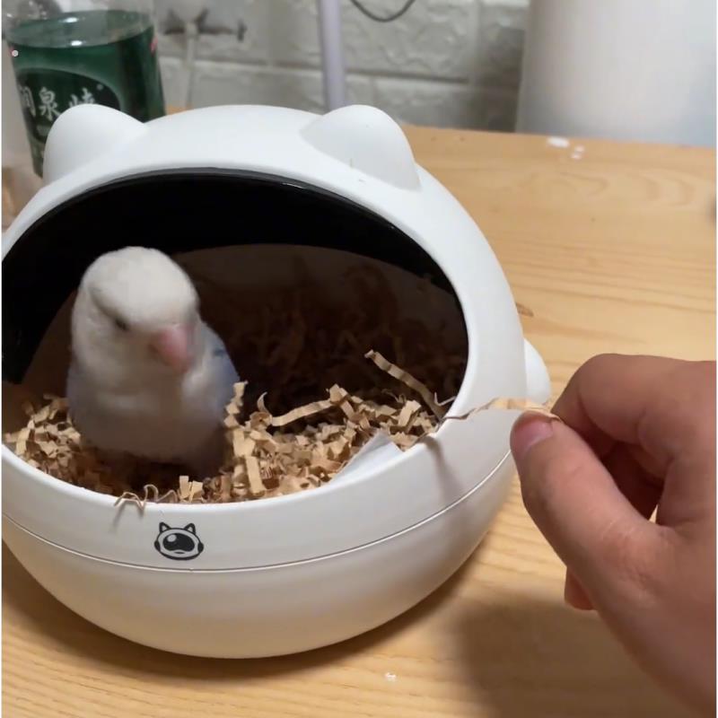 鸟窝四季带盖子子垃圾桶桌面透气拍照神器仓鼠牡丹窝玄凤实用舒适