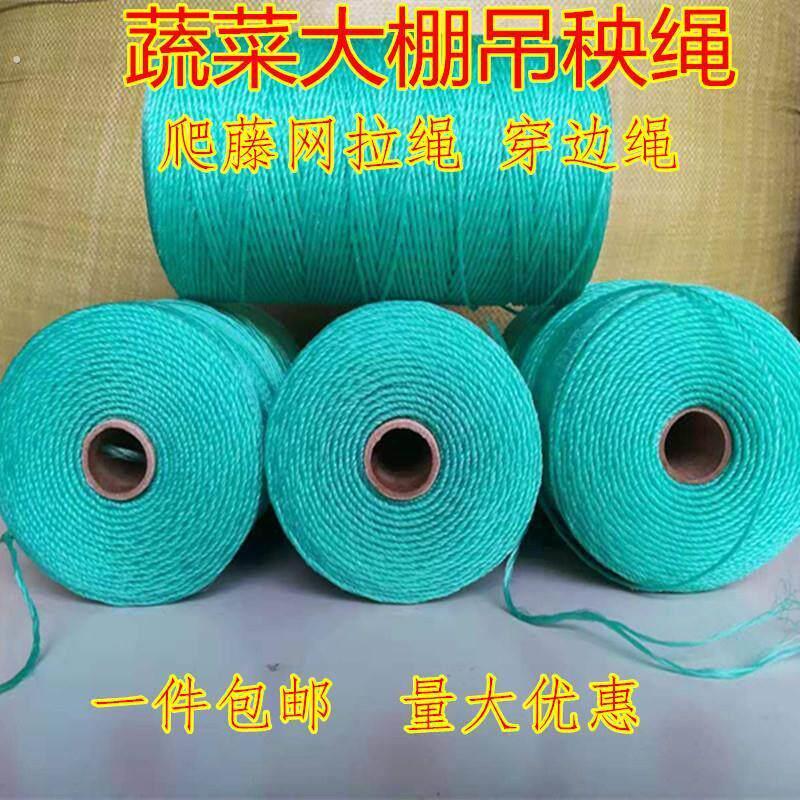 大棚吊秧绳蔬菜黄瓜吊蔓绳塑料绳子番茄番茄爬藤网种植