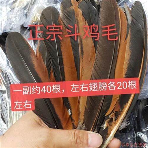斗鸡毛斗鸡翅膀毛斗鸡羽毛斗鸡接羽毛粘翅膀
